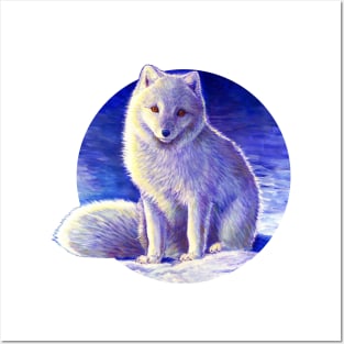 Peaceful Winter Arctic Fox Posters and Art